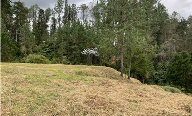 Venta de Lote Comercial Sobre Carretera Las Palmas Vía Principal