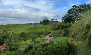 VENTA CASA CAMPESTRE SECTOR CIRCASIA