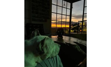 VENTA CASA CAMPESTRE SECTOR CIRCASIA