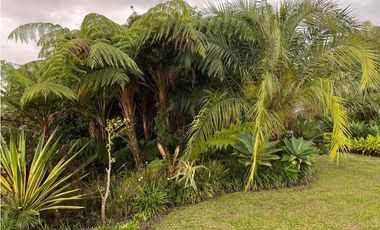 VENTA CASA CAMPESTRE SECTOR CIRCASIA