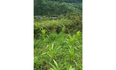 FINCA EN VENTA, PANDI CUNDINAMARCA
