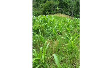 FINCA EN VENTA, PANDI CUNDINAMARCA