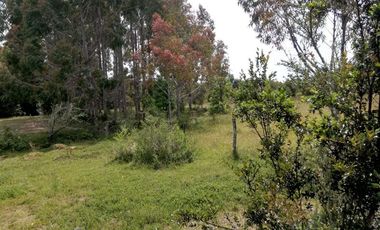 Parcela en Venta en Cariquilda