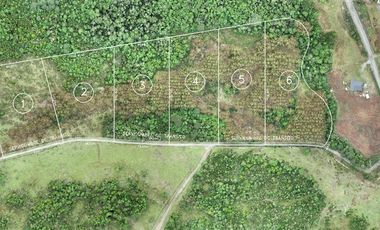 Parcela en Venta en Cariquilda