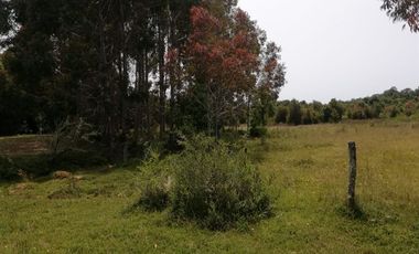 Parcela en Venta en Cariquilda