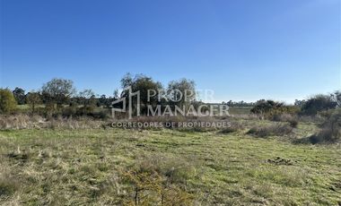 Parcela en Venta en Se Vende Parcela de 9.750 m2 en Chillán Viejo