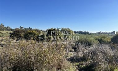 Parcela en Venta en Se Vende Parcela de 9.750 m2 en Chillán Viejo