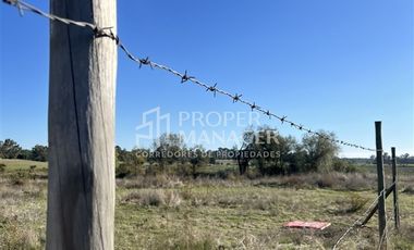 Parcela en Venta en Se Vende Parcela de 9.750 m2 en Chillán Viejo