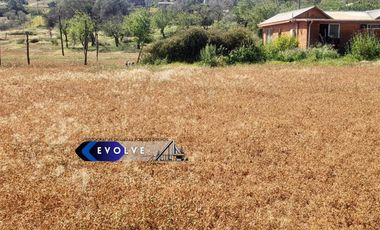 Sitio en Venta en Illapel