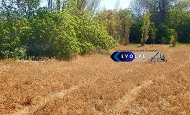 Sitio en Venta en Illapel