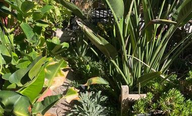 Casa en Venta en San Francisco-Observatorio-Violeta Parra