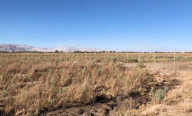 EXCELENTE TERRENO INDUSTRIAL - CALAMA