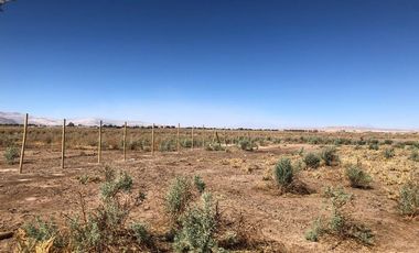 EXCELENTE TERRENO INDUSTRIAL - CALAMA