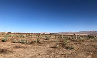 EXCELENTE TERRENO INDUSTRIAL - CALAMA