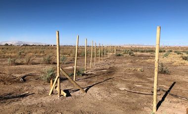 EXCELENTE TERRENO INDUSTRIAL - CALAMA