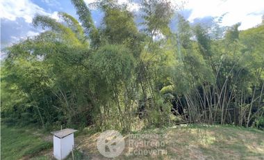 Casa en conjunto para estrenar en arriendo, El Rosario, Manizales