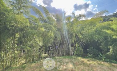 Casa en conjunto para estrenar en arriendo, El Rosario, Manizales