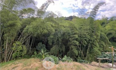 Casa en conjunto para estrenar en arriendo, El Rosario, Manizales