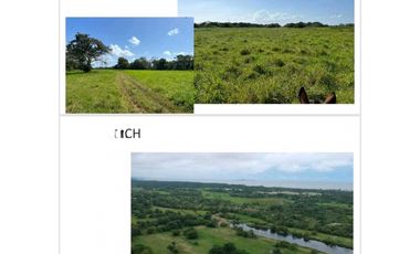 VENDO FINCA 1110HA 95% TOPOGRAFIA -Plana