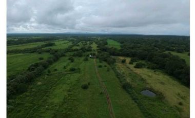 VENDO FINCA 1110HA 95% TOPOGRAFIA -Plana