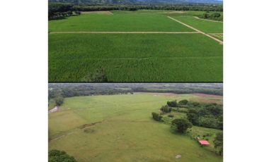 VENDO FINCA 1110HA 95% TOPOGRAFIA -Plana