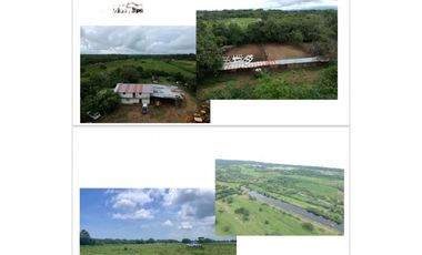VENDO FINCA 1110HA 95% TOPOGRAFIA -Plana