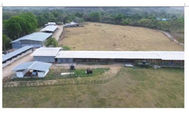 VENDO FINCA 1110HA 95% TOPOGRAFIA -Plana