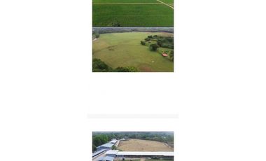 VENDO FINCA 1110HA 95% TOPOGRAFIA -Plana
