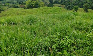 VENDO.FINCA DE 24 hA y Finca de 27 Ha GANADERIA