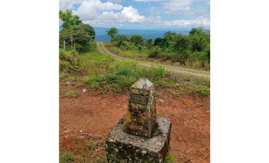 VENDO.FINCA DE 24 hA y Finca de 27 Ha GANADERIA