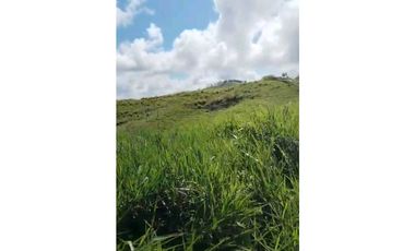 VENDO.FINCA DE 24 hA y Finca de 27 Ha GANADERIA