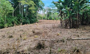 VENDO.FINCA DE 24 hA y Finca de 27 Ha GANADERIA