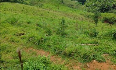 VENDO.FINCA DE 24 hA y Finca de 27 Ha GANADERIA