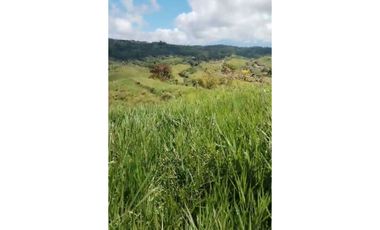 VENDO.FINCA DE 24 hA y Finca de 27 Ha GANADERIA