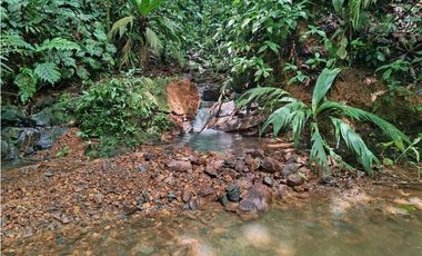 VENDO.FINCA DE 24 hA y Finca de 27 Ha GANADERIA