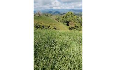 VENDO.FINCA DE 24 hA y Finca de 27 Ha GANADERIA
