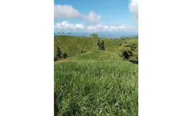 VENDO.FINCA DE 24 hA y Finca de 27 Ha GANADERIA