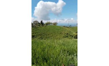 VENDO.FINCA DE 24 hA y Finca de 27 Ha GANADERIA