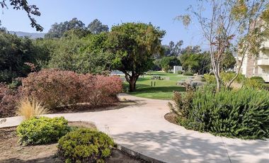 Departamento en Arriendo en Papudo Centro