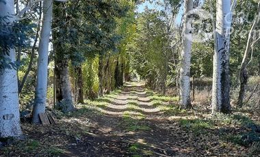 Sitio en Venta en sector las ñipas