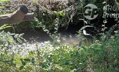 Sitio en Venta en sector las ñipas