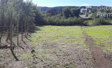 Terreno Construccion  en Venta en sector las ñipas