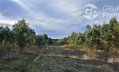 Parcela en Venta en ruta Q-61 kilometro 22,4