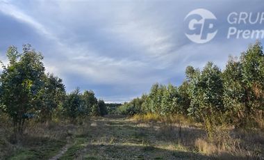 Parcela en Venta en ruta Q-61 kilometro 22,4