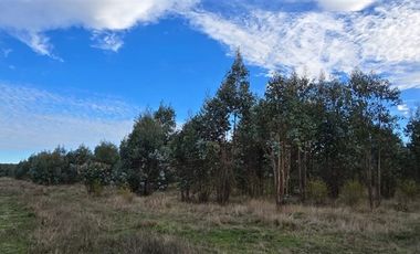 Parcela en Venta en ruta Q-61 kilometro 22,4