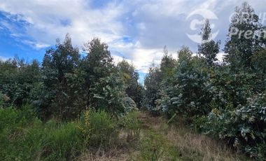 Parcela en Venta en ruta Q-61 kilometro 22,4