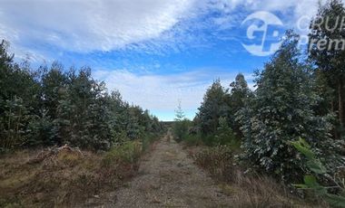 Parcela en Venta en ruta Q-61 kilometro 22,4