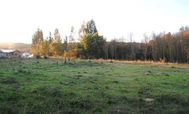Parcela en Venta en Ruta Q-631 km 2 camino a san Carlos de Purén