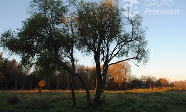 Parcela en Venta en Ruta Q-631 km 2 camino a san Carlos de Purén