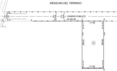 VENTA FRACCION DE 3 HECTAREAS DE CAMPO EN SOLDINI